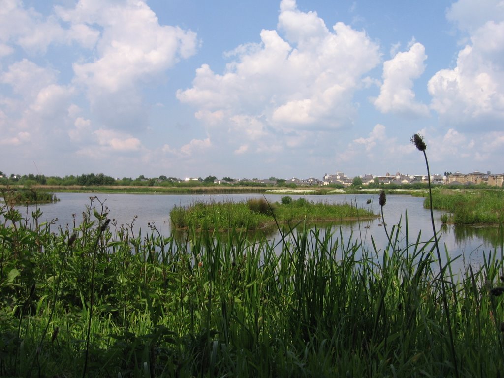 Wild foul Wetlands by Arthur Johnston