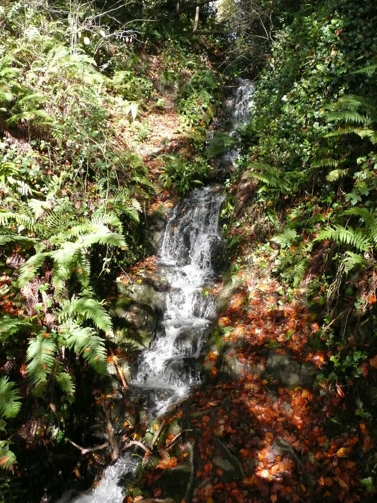 Small waterfall at Townley Hall. by Pat McDonagh