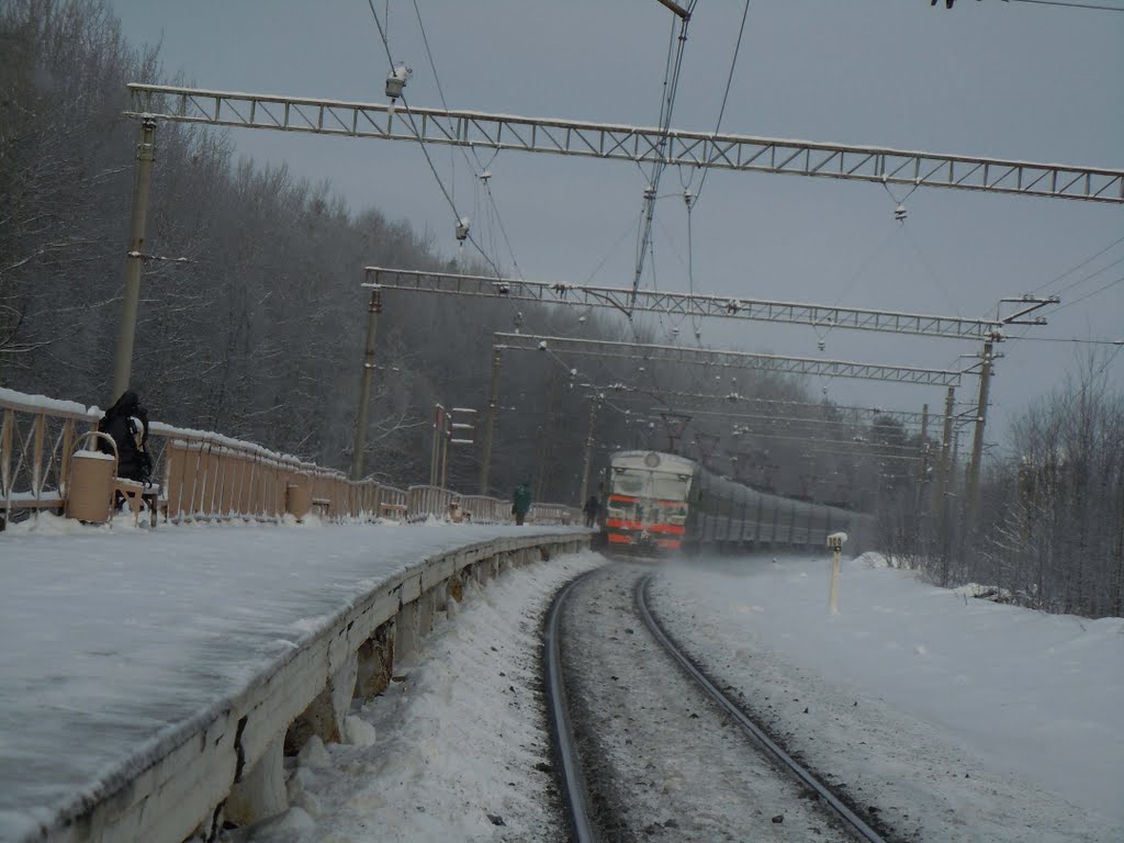 Ж.Д. станция Власово (Railway station near Vlasovo village) by piplaf