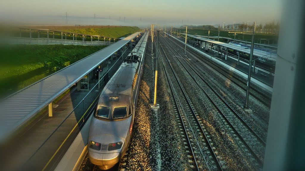 TGV en gare de REIMS Champagne-Ardennes by christo67