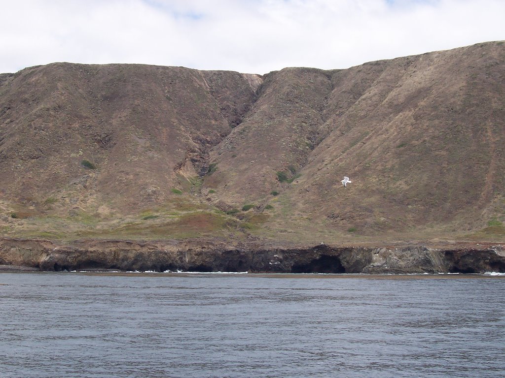 San Clemente Island by etgreat