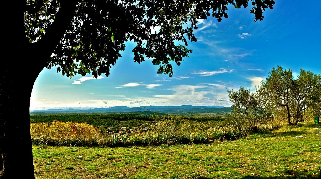 Las Cevènas protestantas, vistas de la ciutat de Vesenòbra by Franc Bardou