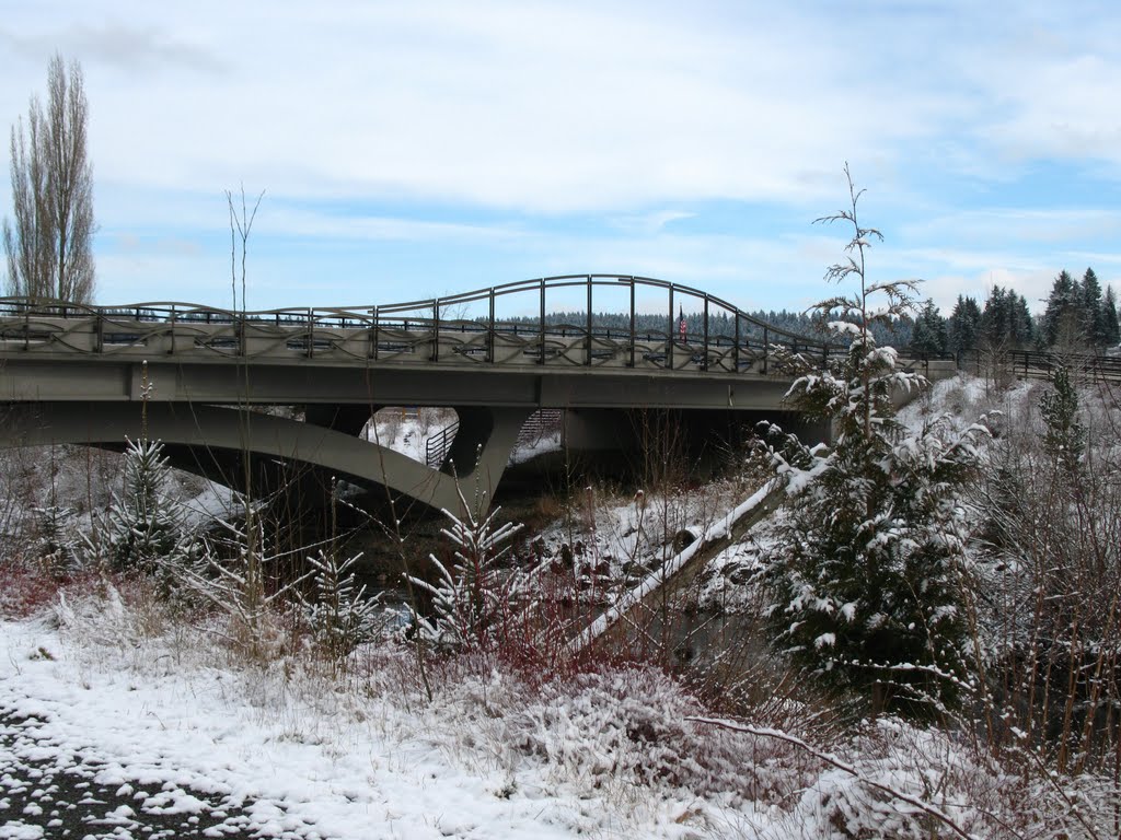 NE 116th Bridge by Warden34