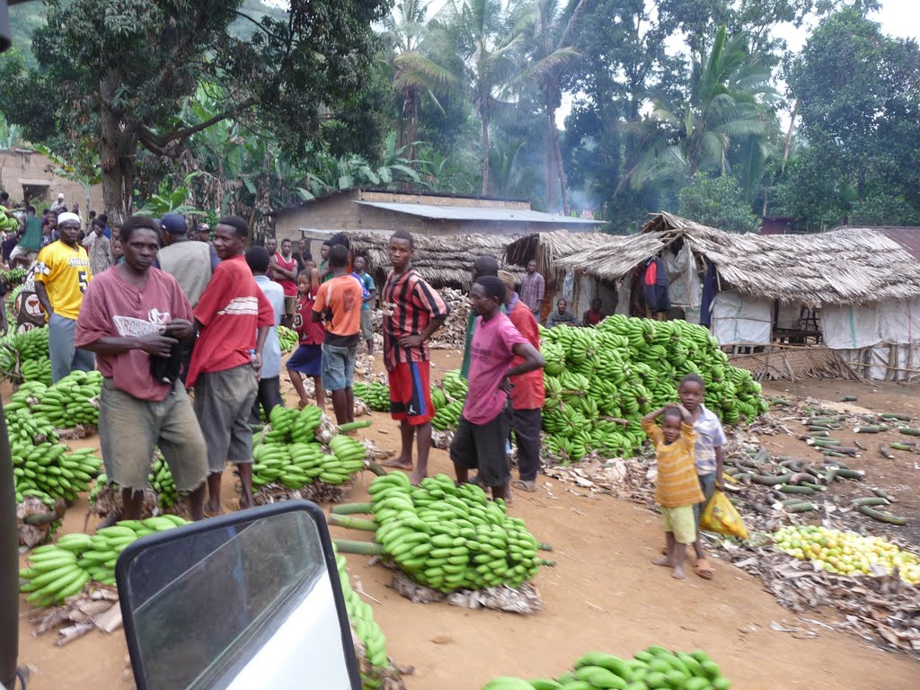 Bananenmarkt auf dem Land by jaosta