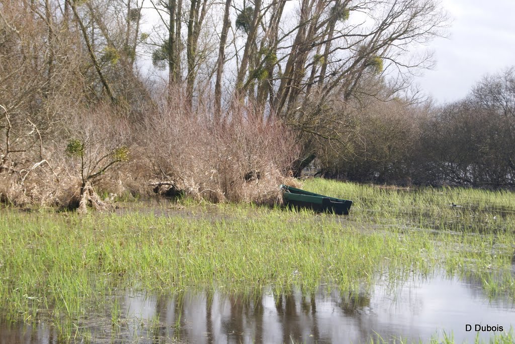 La Pierre aigue st aignan de grand lieu le lac de grand lieu by dom44