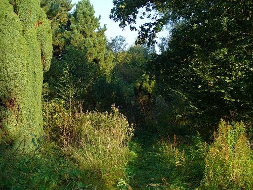 Stadspark -Groningen by Jannes Aalders