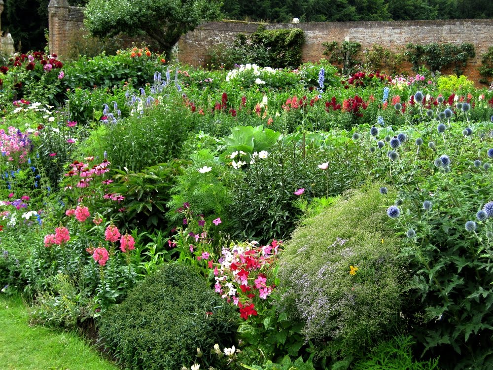 Fleurs du potager by froggy76