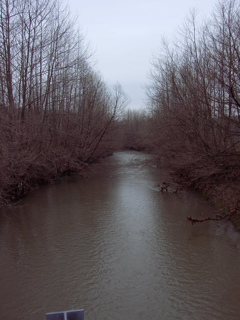 Clear Creek Site 10: Downstream by jdconroy