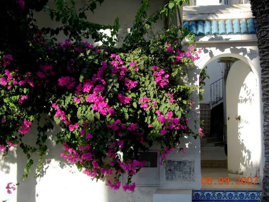 Hammamet by enote