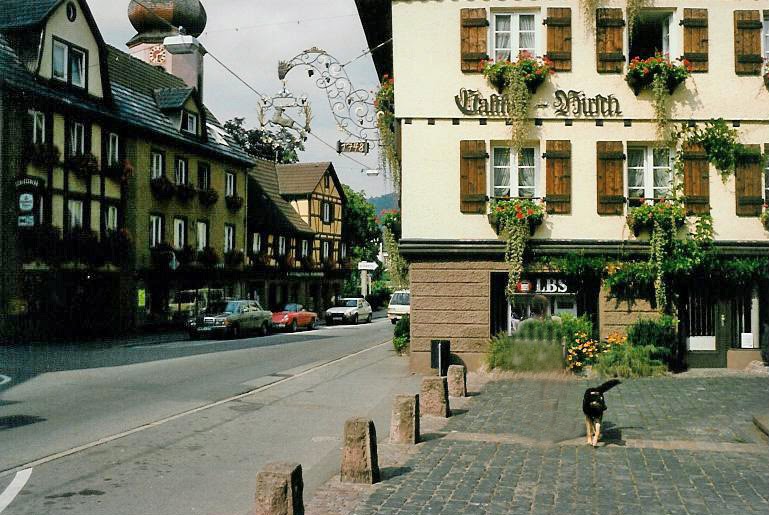 Schramberg - Gasthof Hirschen by Andreas-Müller