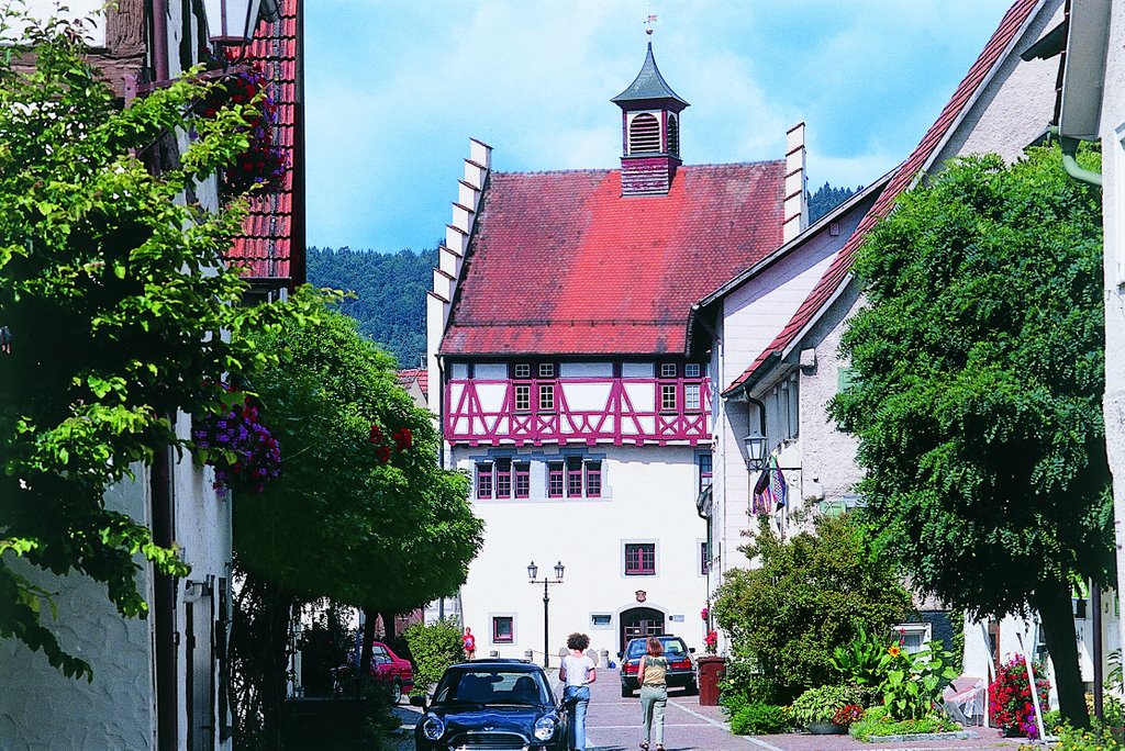 Ifflinger Schloss by GVV Donau-Heuberg