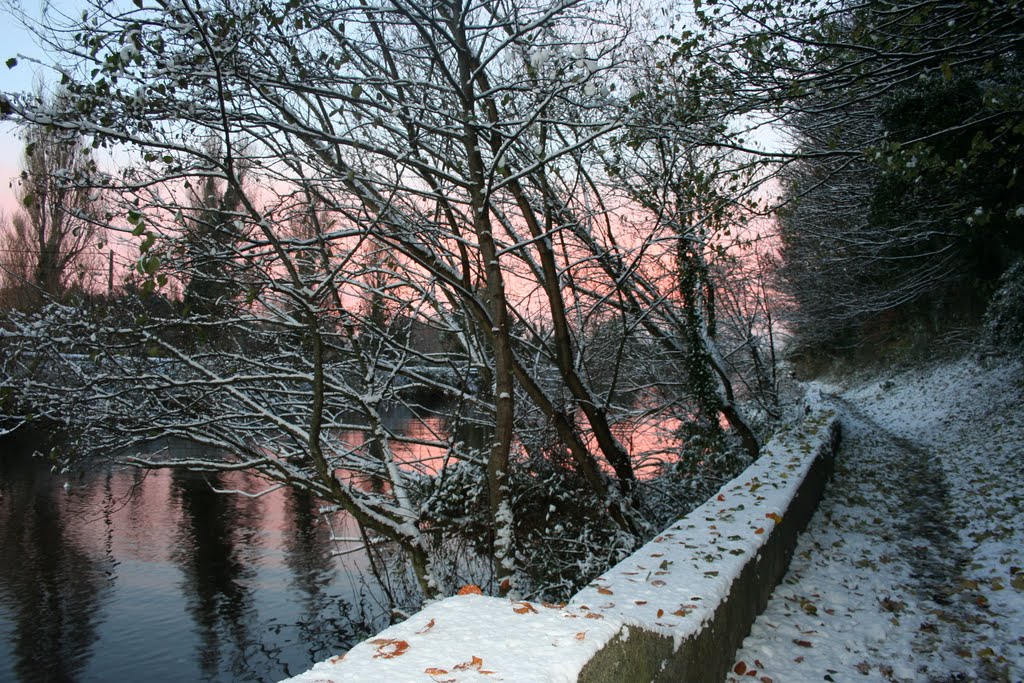 Cold winter evening. Dargle river. by patrick murphy