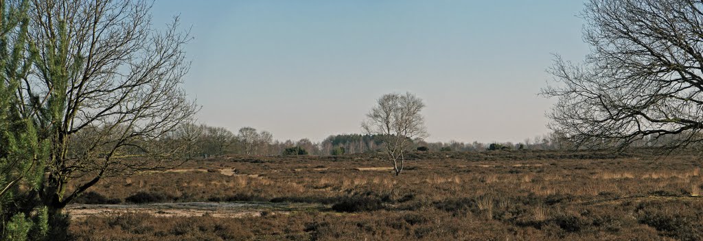 Panorama Beugense Peel by MarioKuijpers