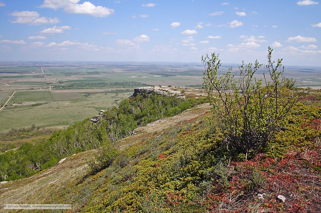 Southeast ridge of the Killdeer Mountains by DeVane Webster