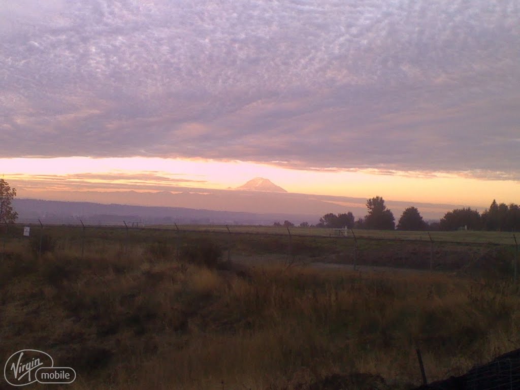 MT Rainier by jerrythe1