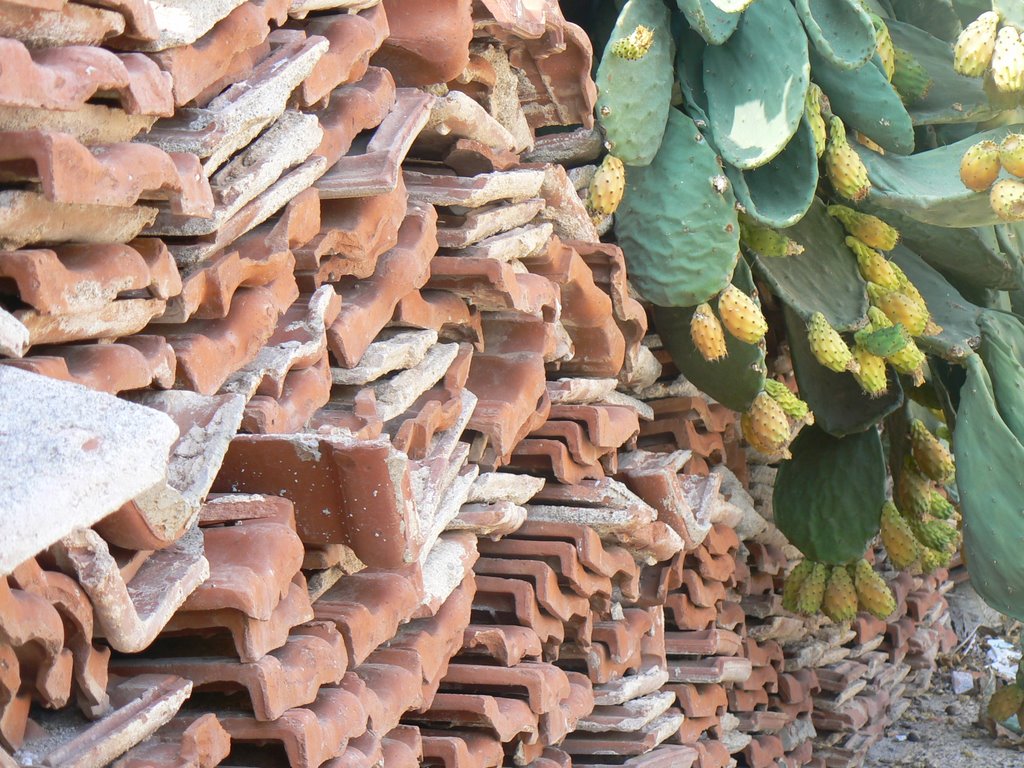 Roof Tiles Neo Chorio by Phil Hassler