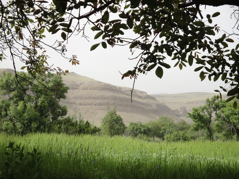 دشت گرگون روستای واران جاسب - عکس از فتو وبلاگ دلیجان by delijanphoto