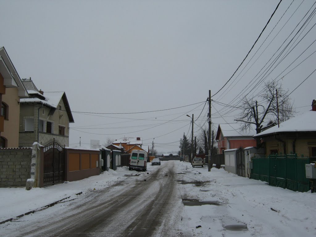 Strada Petru Cercel cu zăpadă by Alexandru Gabriel Tudor