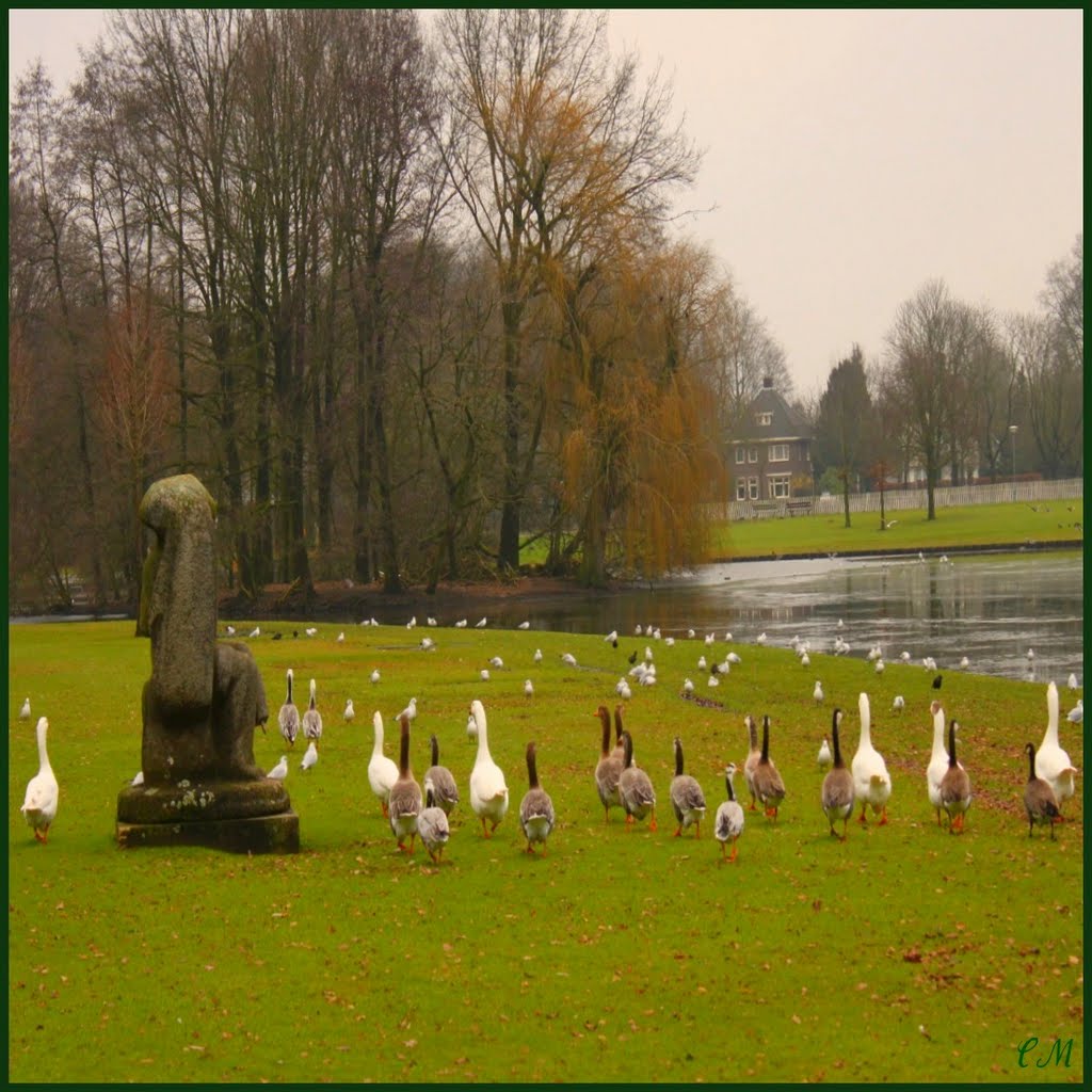 We are all family by © cvandermeijden