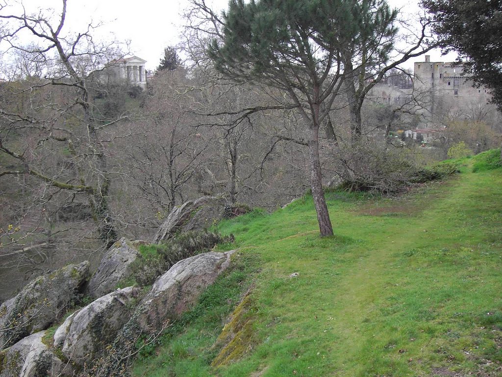 Clisson (Loire-Atlantique), vue sur le château, en hiver by Andecave