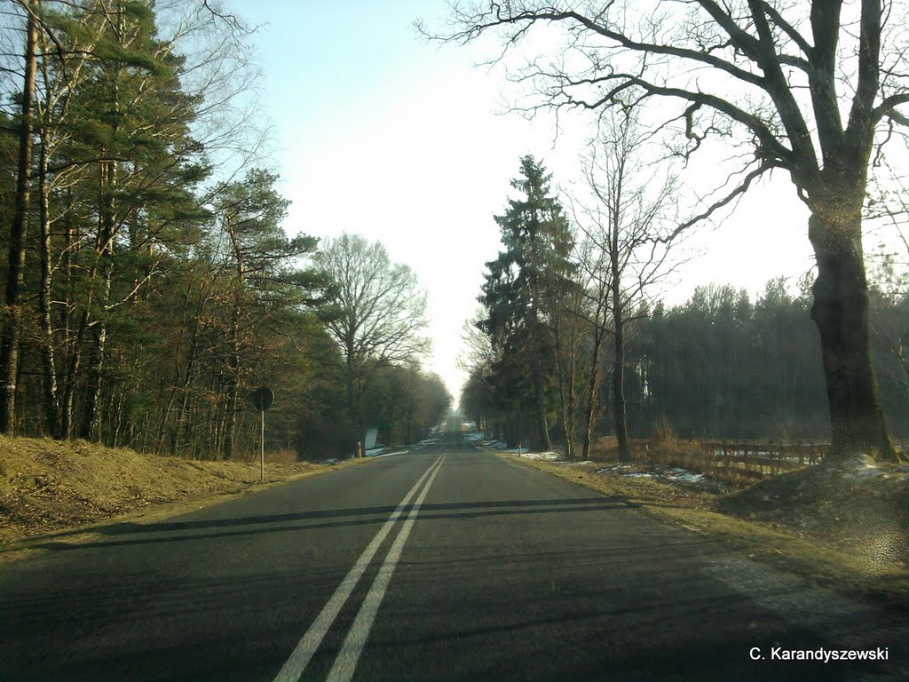 Okolice jaziora Byszyno na drodze Białogard - Połczyn Zdrój by Karandyszewski