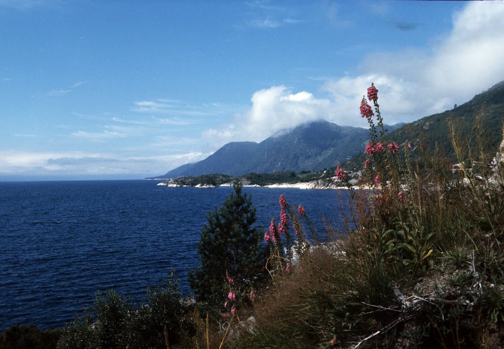 Am Sognefjord by bongiorno