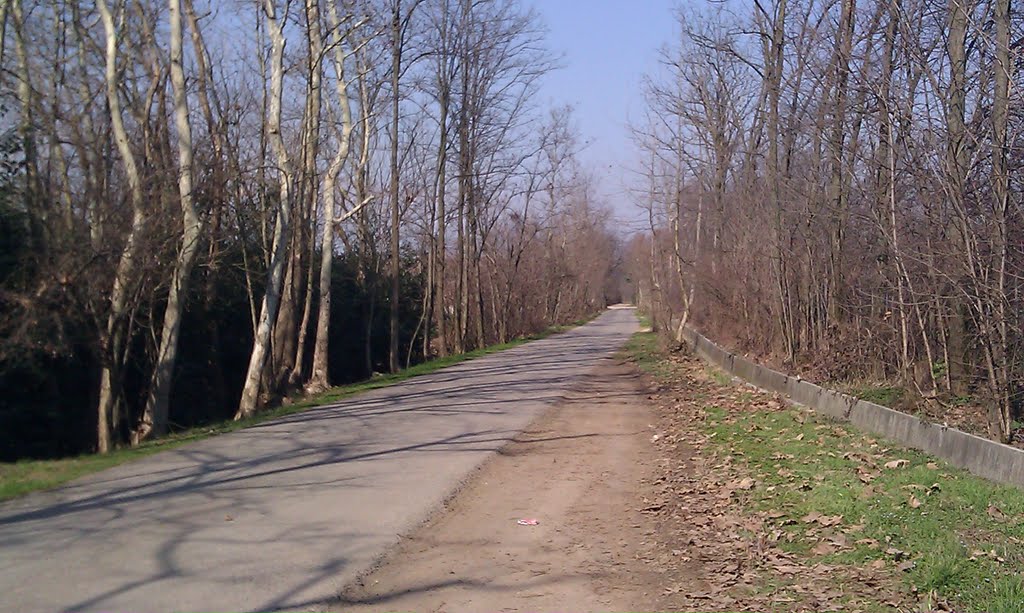 Strada di campagna by Emilio Novelli