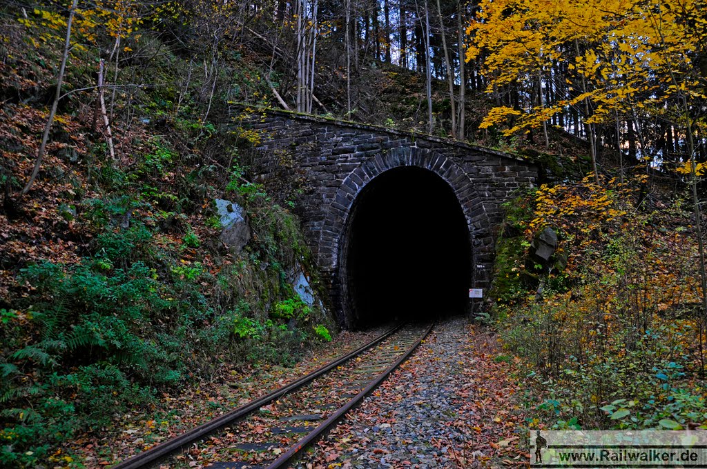 Der Ziegenrücker Tunnel mit einer Länge von 105m by Railwalker