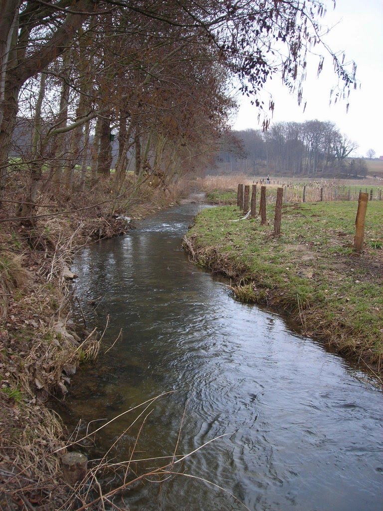 Bolldammbach nahe Dornbrede by Klaus Reinke