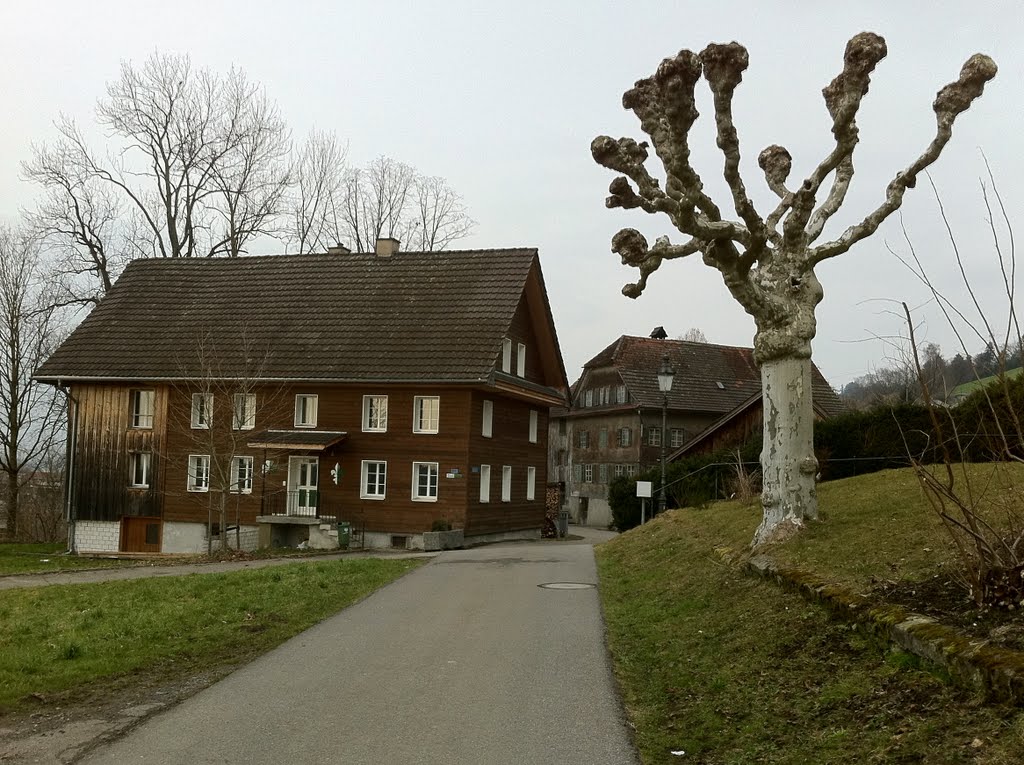 Oberwil, Pfadihaus (02/2011) by leandros.lu