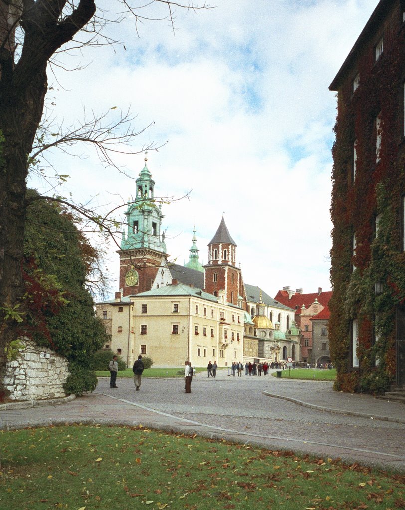 Wawel Cathedral Cracow by Peter Downes