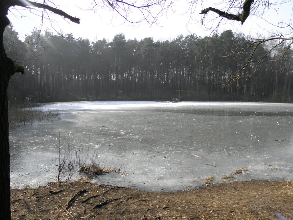 Pechpfuhl Ludwigsfelde zugefroren by Angelprinz