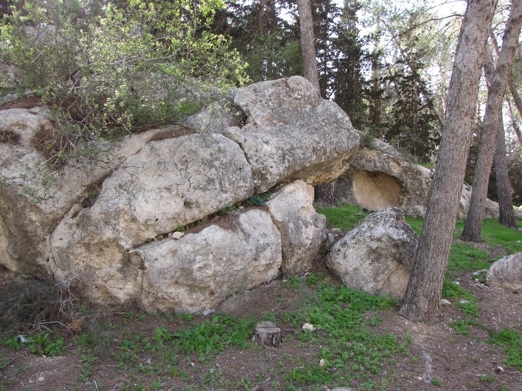 5539 Large rocks in the President woods near Beit Shemesh by Kobi Zilberstein