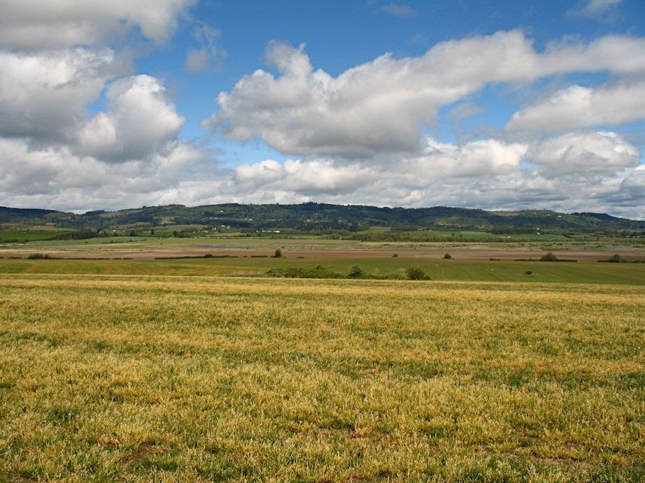 Western Oregon by Stan Pierce