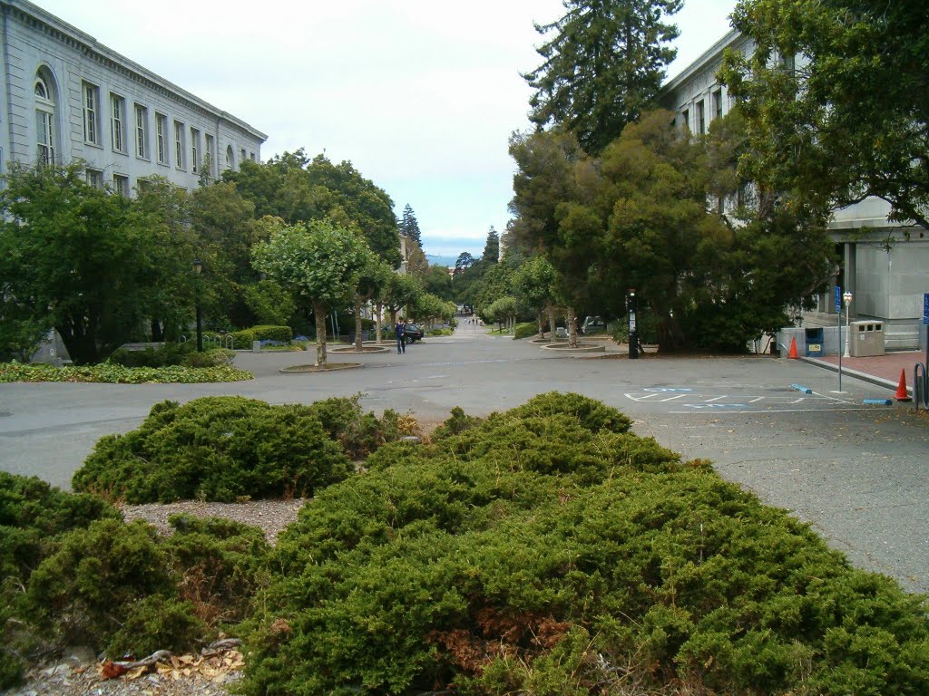 Berkeley - Campus dell'Università by Maurizio Giove