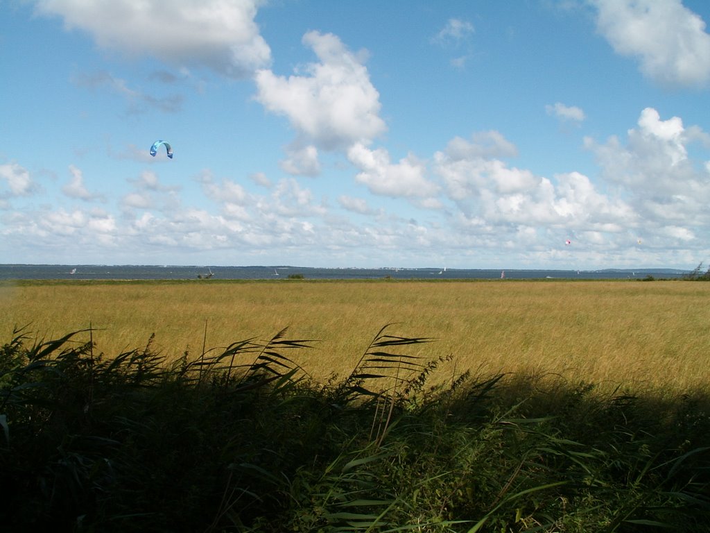 Ummanz, Blick auf Hiddensee by Birgit F.