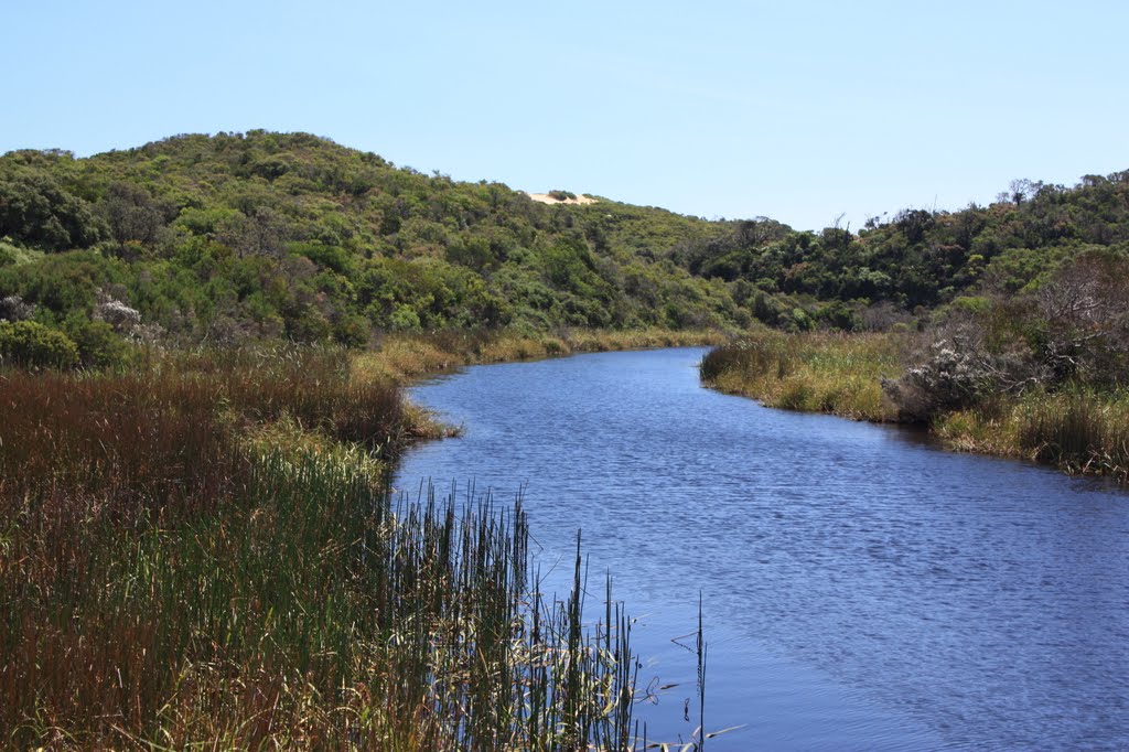 Darby River one dune away from Bass Strait. by flyingdutchman