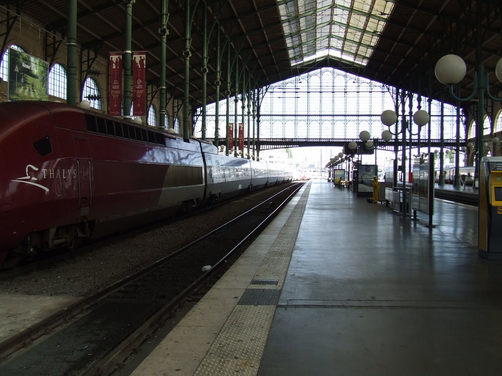 Gare du Nord by ddantuma