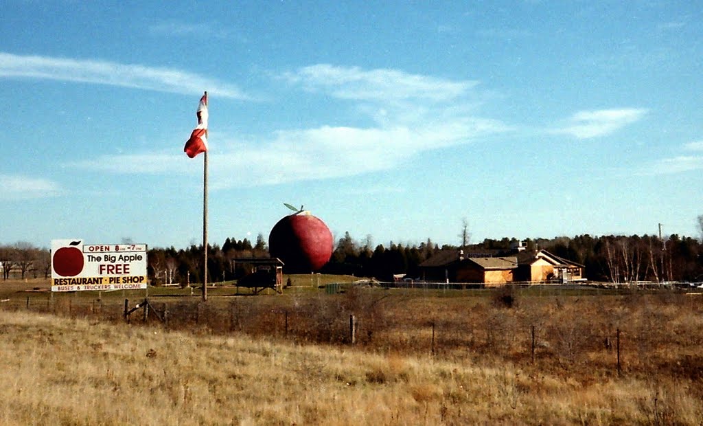 The Big Apple at Colborne, Ontario, Canada by R. Halim