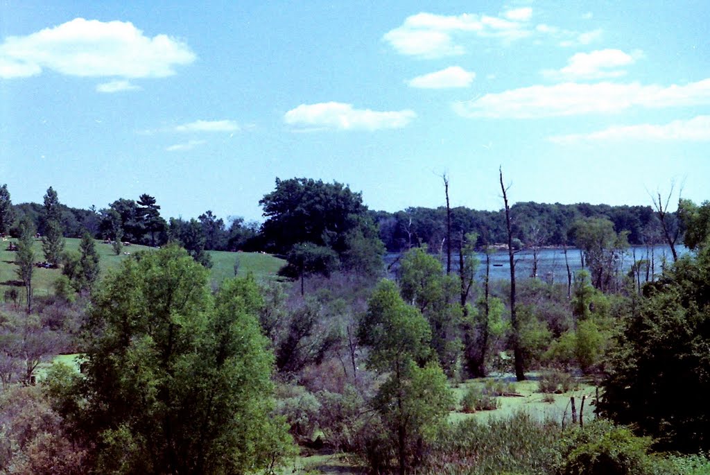 Trees and Park near Heart Lake, Brampton, Ontario by R. Halim