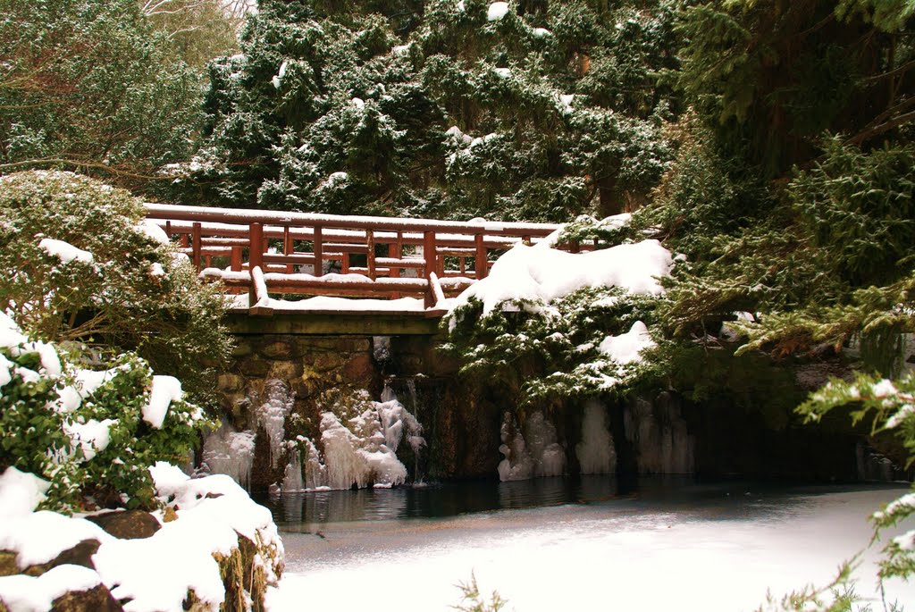 The Frozen Pond at James Garden Toronto, Ontario(february contest) by RinoBarone