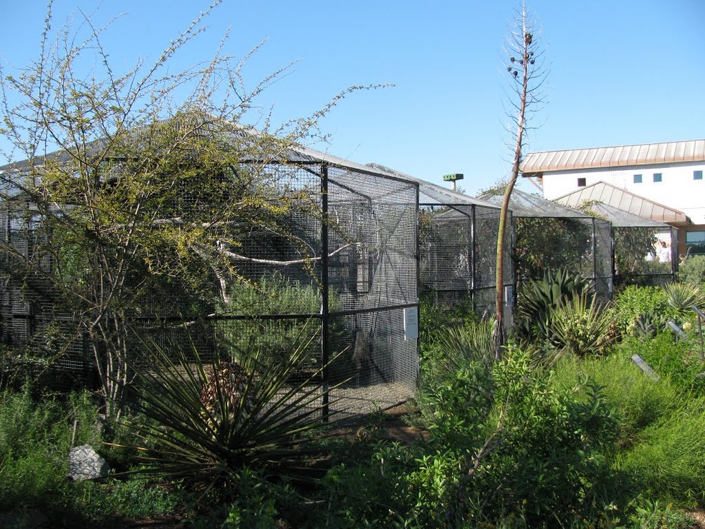 Chula Vista Nature Center by patakieva