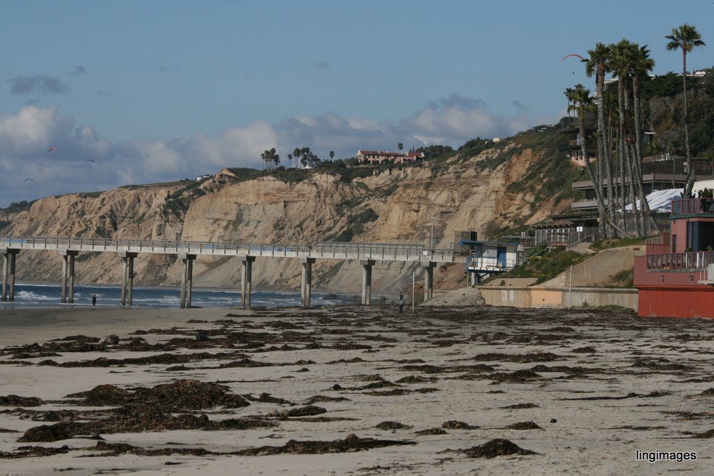 Scripps Pier, La Jolla, San Diego, CA by Andrew Ling