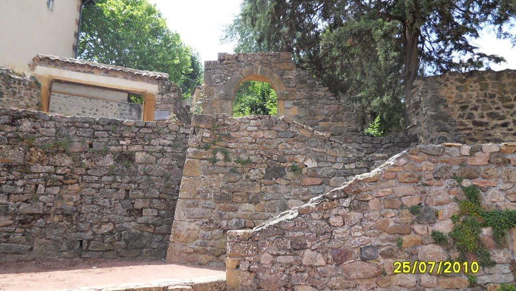 Dans les ruines du château de Ternand by Matopée