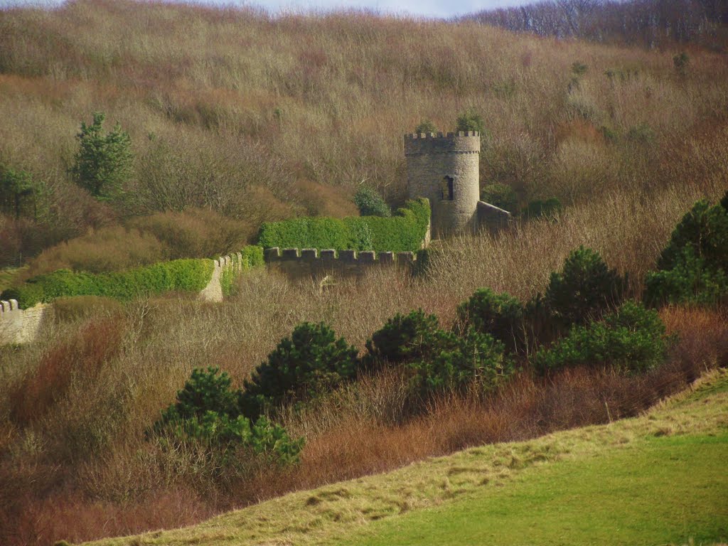 Castle in the woods southerndown by gary taylor