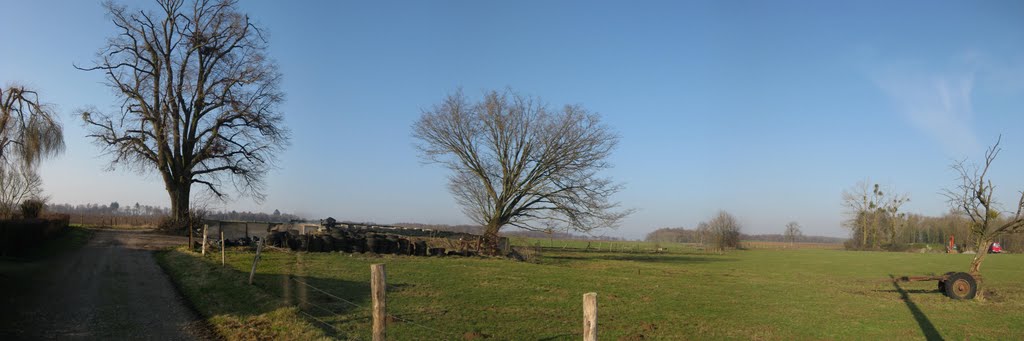 Pailhe arbres by janmatthieu