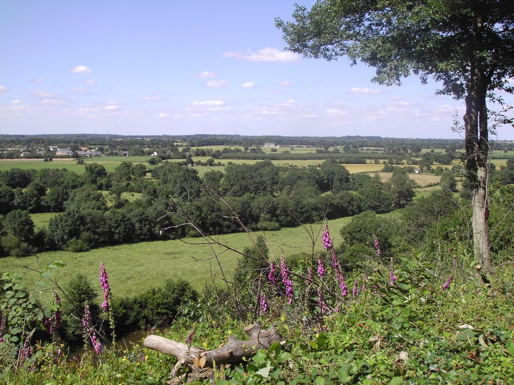 En surplombant la rivière Mayenne (Montreuil-Juigné, Maine-et-Loire) by Andecave