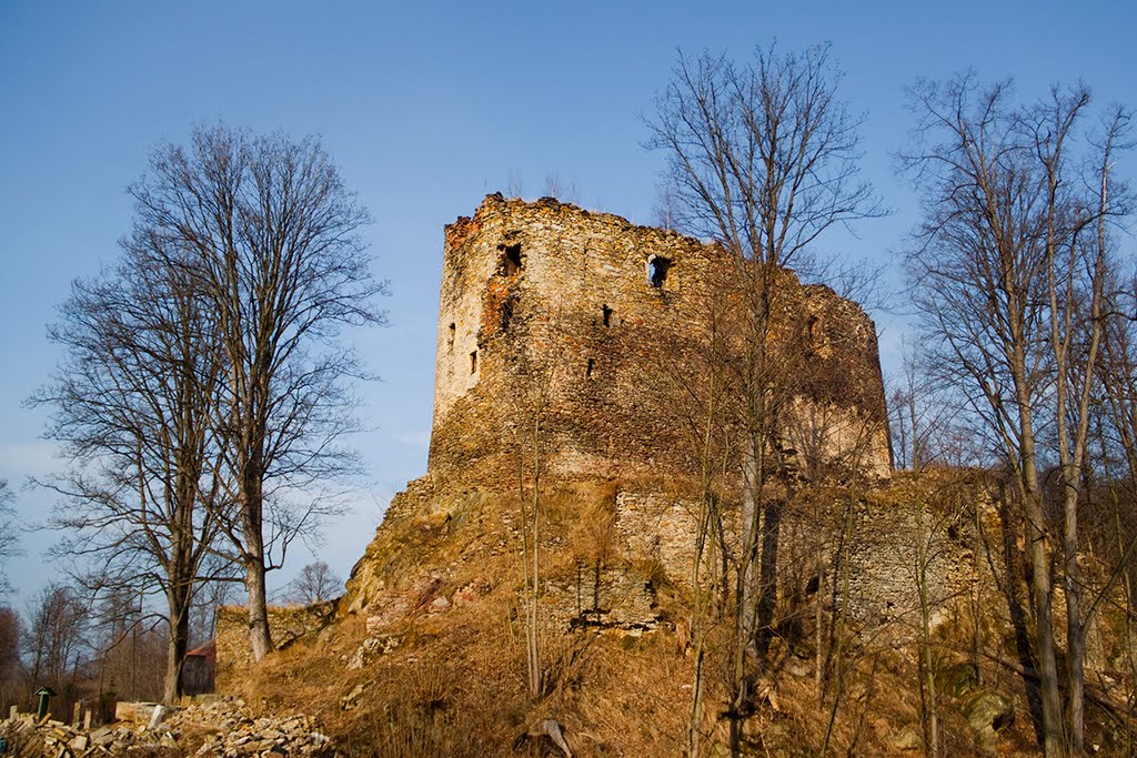 Zamek w Świeciu by Jerzy Malicki