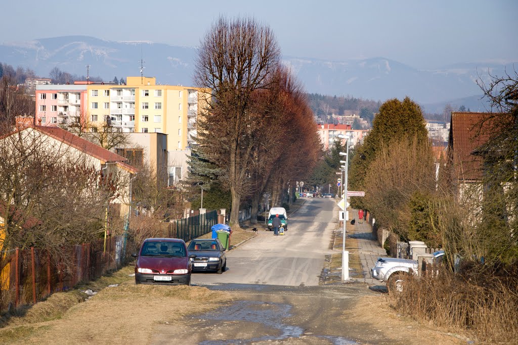 Bludovská ulice by Tomas Kelar