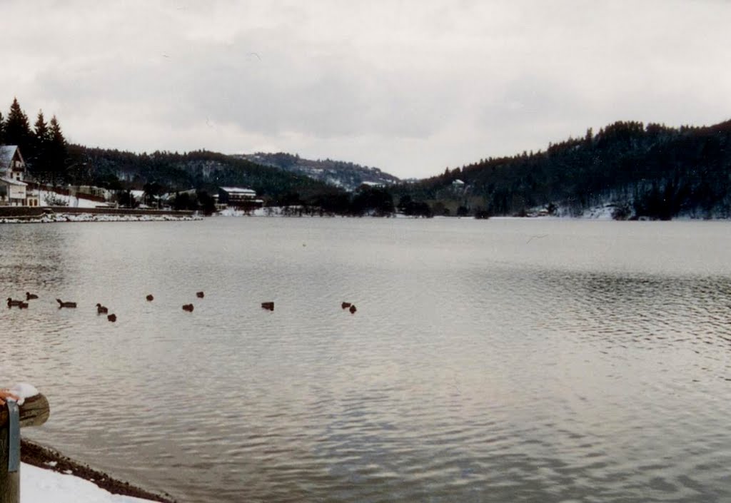 Lac de Chambon, Mars 1999 by 20021126